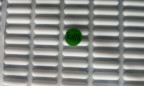 Resbalón anti Universalised pies de la goma de silicona debajo del teclado L20*W5*T2.4 milímetro