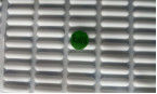 Resbalón anti Universalised pies de la goma de silicona debajo del teclado L20*W5*T2.4 milímetro